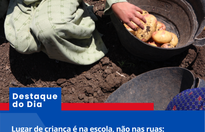 Lugar de criança é na escola, não nas ruas: trabalho infantil ainda desafia o Brasil