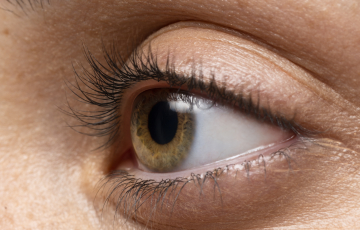 Cartilha sobre saúde ocular na infância orienta pais e professores